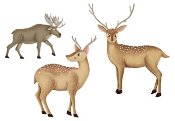 Cute reindeers png sticker, animal illustration, transparent background