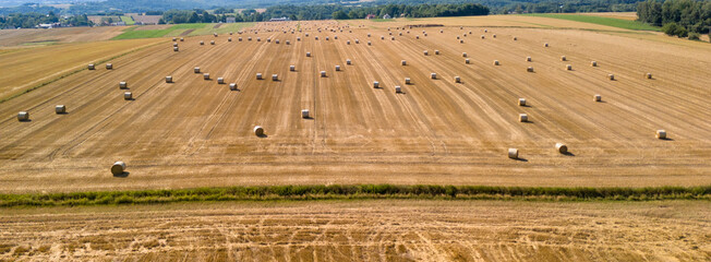 Expansive field with numerous round straw bales, captured from above, showcasing the essence of a...