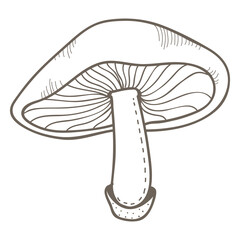 Mushroom png line art, transparent background