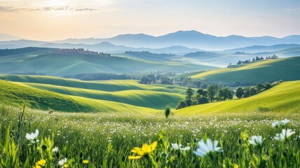 Fototapeta premium Rolling Hills of Tuscany
