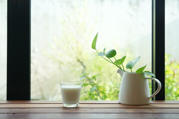 milk in a glass cup with plant pot on wooden table indoor in front of a window