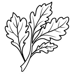 Fototapeta premium arugula vegetable outline coloring book page line art illustration digital drawing