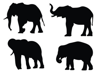 Fototapeta premium Illustration set of five black silhouettes of elephants