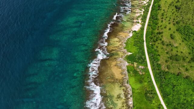 Aerial view of a tropical island with lush palms and pristine reef, Shefa Province, Vanuatu.