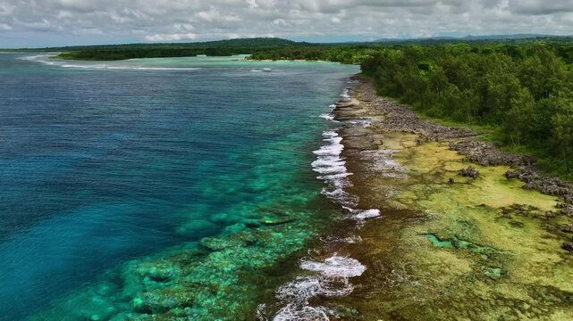Aerial view of a tropical island with lush palms and crystal clear waters, Shefa Province, Vanuatu.