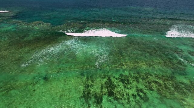 Aerial view of a beautiful tropical island with clear turquoise waters, coral reef, and palm trees, Shefa Province, Vanuatu.