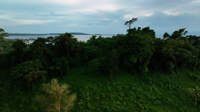 Aerial view of a beautiful tropical landscape with a curvy road and lush greenery by the ocean at sunset, Shefa Province, Vanuatu.