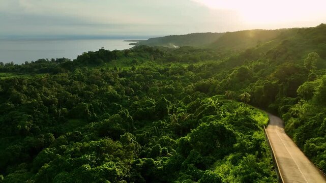 Aerial view of a curvy road through lush tropical forest at sunset, Shefa Province, Vanuatu.
