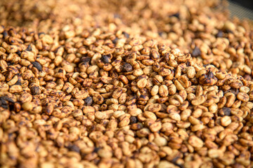 Close up dried coffee beans, yellow dried coffee beans by sun dried