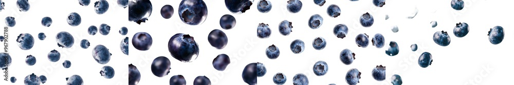 Poster Spectacular focus on a falling blueberry isolated on white