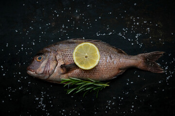 Frische Dorade mit Zitrone und Rosmarin auf einem schwarzen Hintergrund