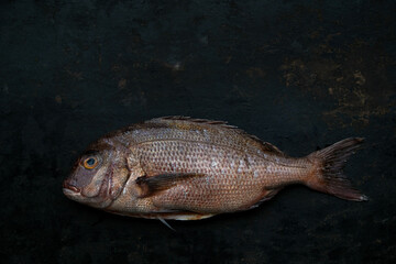Frische Dorade mit Zitrone und Rosmarin auf einem schwarzen Hintergrund