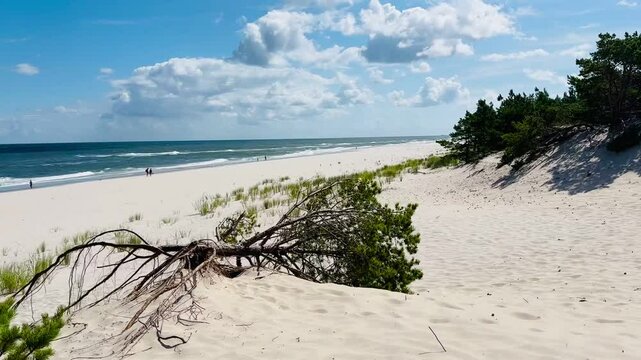 Wild beach in Poland. Beautiful wild beaches in Hel Wild beach in baltic sea. Aerial view of Hel Peninsula in Poland, Baltic Sea and Puck Bay.