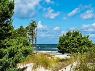 Wild beach in Poland. Beautiful wild beaches in Hel Wild beach in baltic sea. Aerial view of Hel...