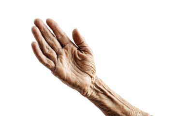 High-quality stock photograph, capturing an aged hand, solitary on a white backdrop, full body view, isolated, centered, showing every wrinkle and line of life lived