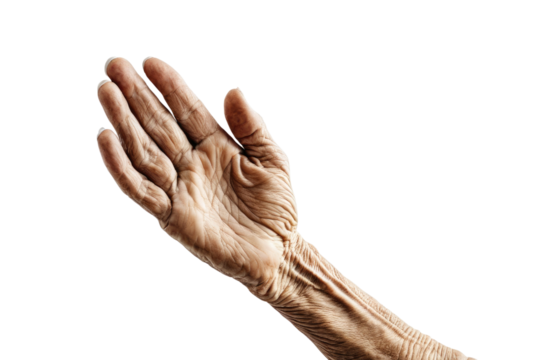 High-quality stock photograph, capturing an aged hand, solitary on a white backdrop, full body view, isolated, centered, showing every wrinkle and line of life lived