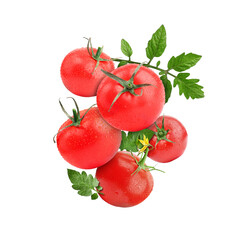 Fresh tomatoes with green leaves in air on white background