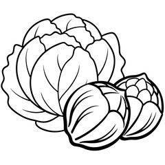 Obraz premium brussels sprouts cabbage zucchini vegetables outline coloring book page line art illustration digital drawing