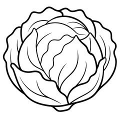 Obraz premium cabbage vegetable outline coloring book page line art illustration digital drawing