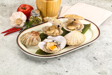 Raw fresh scallops in the shell