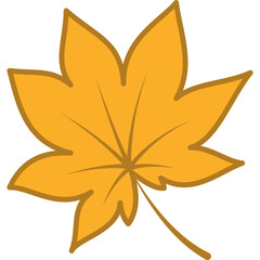 Autumn Leaf Illustration
