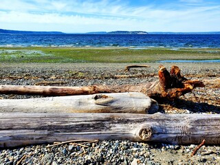 Pacific Northwest beach on Puget Sound. Blue water, waves, rocky beach, driftwood logs.