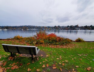 bench in the park, view of water, lake, fall, autumn