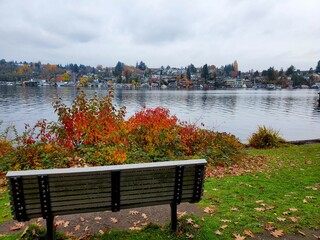 autumn in the park, bench with view of water