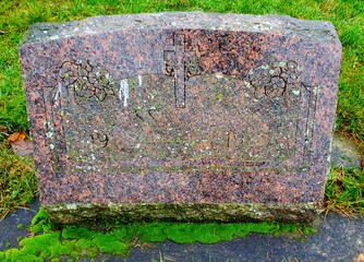 moss on headstone, stone
