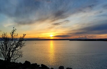 boats in the harbor, yellow daffodils in the foreground