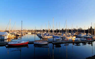 boats in the harbor