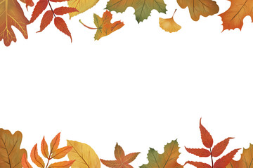 Fall leaves png background transparent