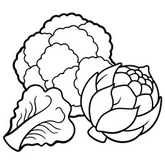 Fototapeta premium cauliflower brussels sprouts cabbage vegetables outline coloring book page line art illustration digital drawing