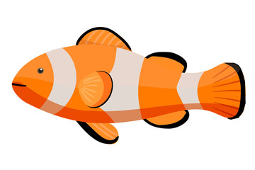 Clownfish png sticker, cute illustration, transparent background