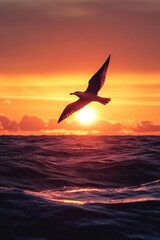 Bird flying over ocean at sunset