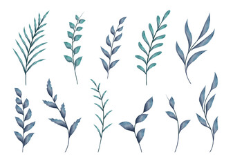 Naklejka premium Watercolor branches with leaves, isolated vector elements on white background.