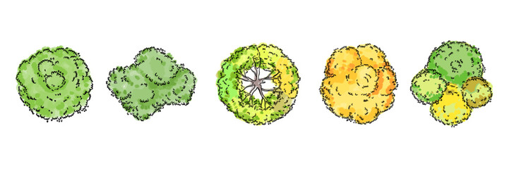 Watercolor tree top view icon set, vector hand drawn green yellow bush, architecture map design kit. Garden park abstract sign, nature environment plan landscape layout object. Flat tree top crown art © Oleksandra
