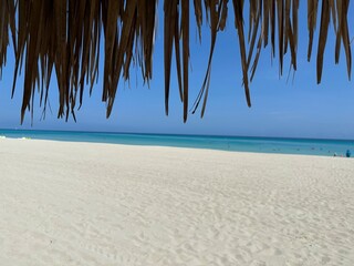 Tropical beach with clear blue sky, turquoise ocean, and overhanging palm leaves, perfect for a...