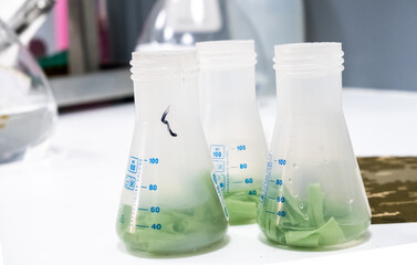 Close up view of small transparent plastic bottles with colorful fluid in them in a lab for research and development or in a scientific analysis laboratory.