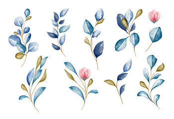 Watercolor foliage branches with leaves and flower,  isolated vector elements on white background.