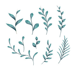Naklejka premium Watercolor branches with leaves, isolated vector elements on white background.