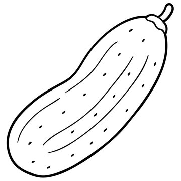recommend clip art: cucumber vegetable outline coloring book page line art illustration digital drawing