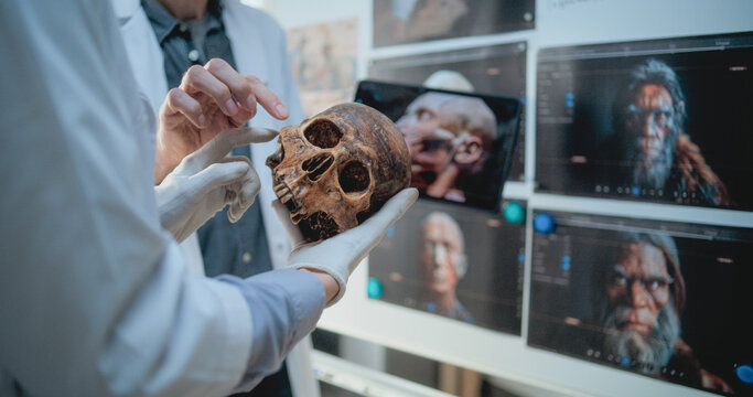Male and female scientists study anatomy of fossil skull of ancient man using tablet computer. Archaeologists work in archaeological lab. Board with printed images of 3D visualization of humans head.