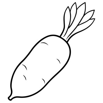recommend clip art: daikon radish vegetable outline coloring book page line art illustration digital drawing
                    