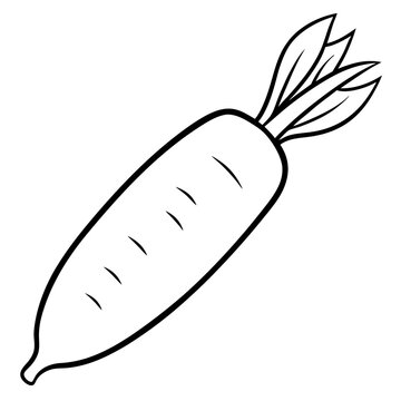 recommend clip art: daikon radish vegetable outline coloring book page line art illustration digital drawing
                    