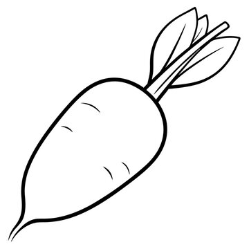 recommend clip art: daikon radish vegetable outline coloring book page line art illustration digital drawing
                    
