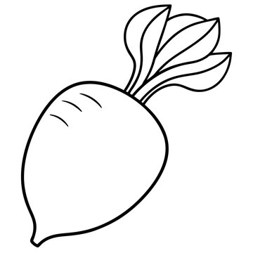 recommend clip art: daikon radish vegetable outline coloring book page line art illustration digital drawing
                    