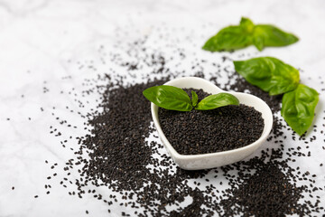 Basil seeds on textured wooden background. Close-up. Superfood. Ocimum basilicum. Organic basil seeds. selasih. Space for text. Copy space.