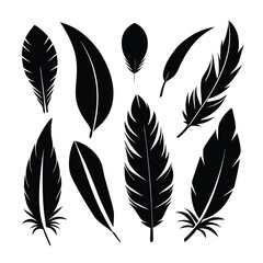 Versatile feather silhouette vector set, ideal for patterns, logos, and decorative designs.