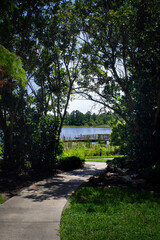 path in the park
